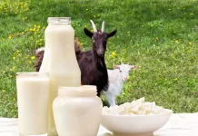 Nutritional Value & Top 10 Benefits of Goat Milk goat milk benefits